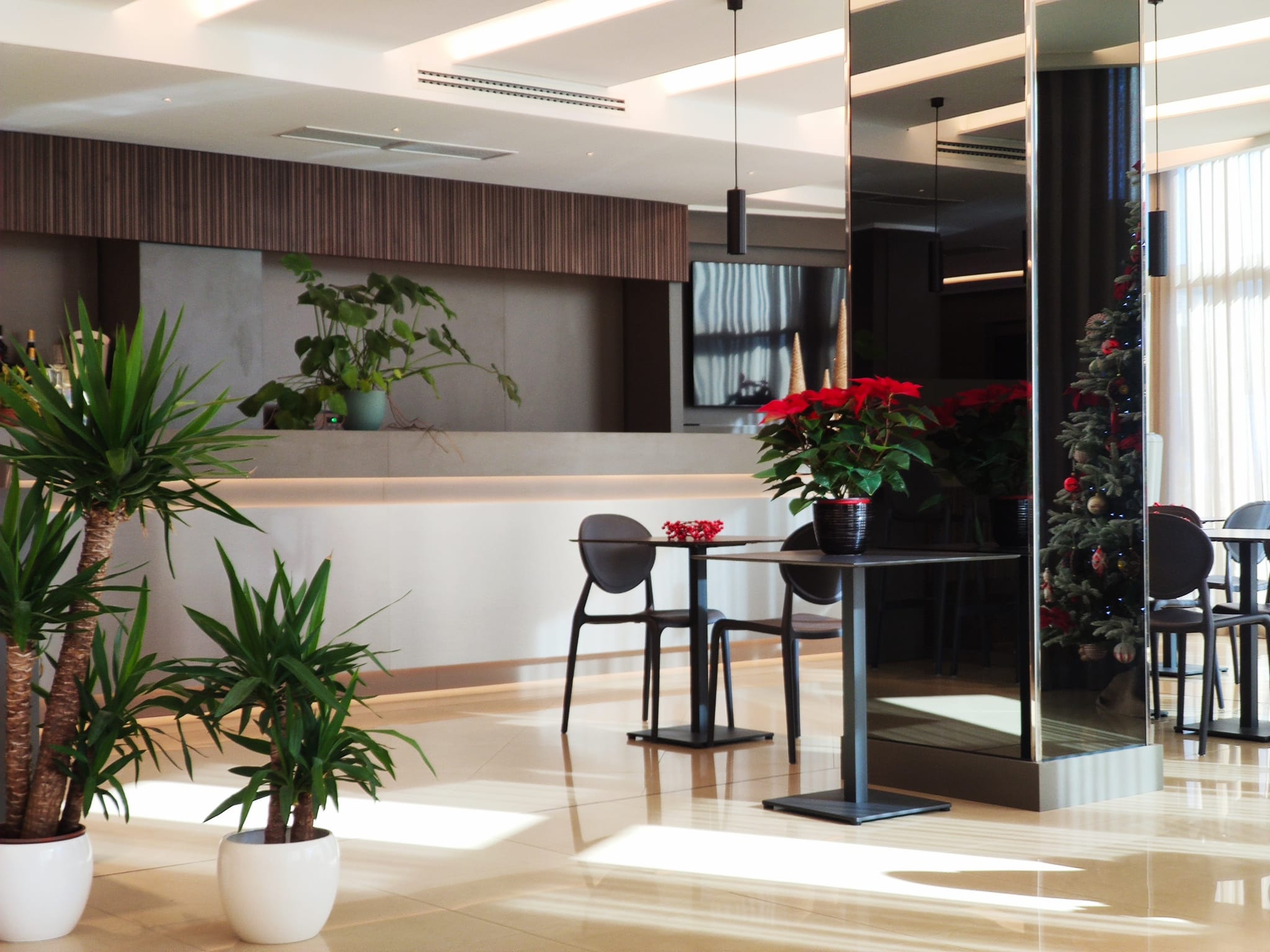 WhatsApp Image 2023-12-01 at 12.22.46 (5)