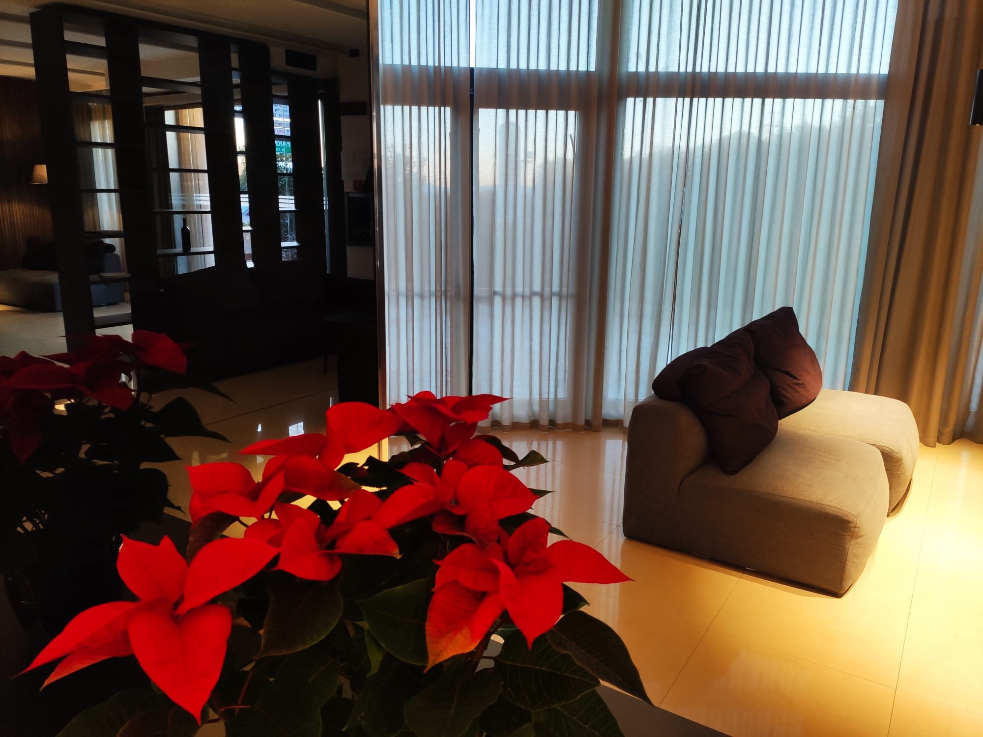 WhatsApp Image 2023-12-01 at 12.22.46